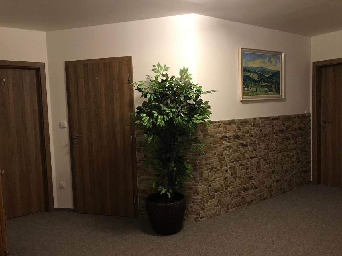 Na Planyrce Hotel Paseky nad Jizerou Kültér fotó
