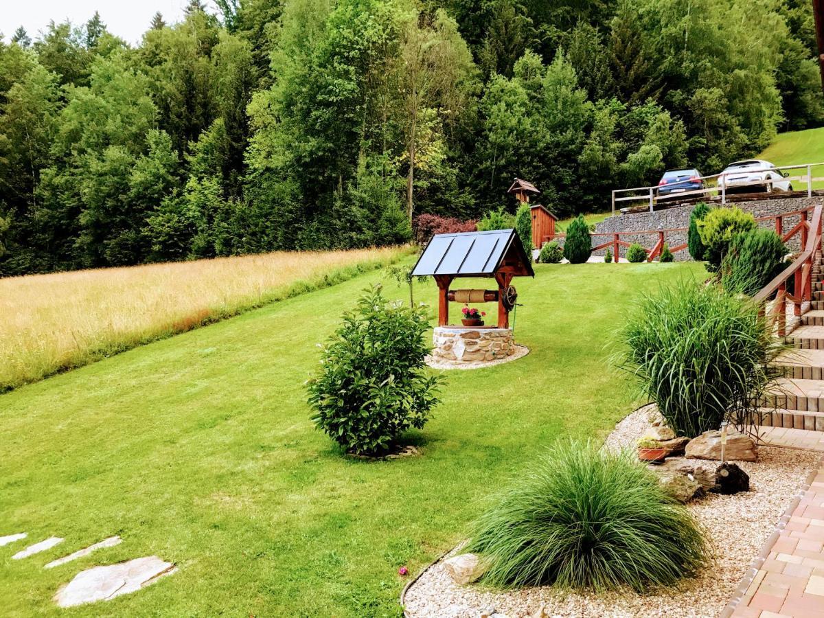 Na Planyrce Hotel Paseky nad Jizerou Kültér fotó