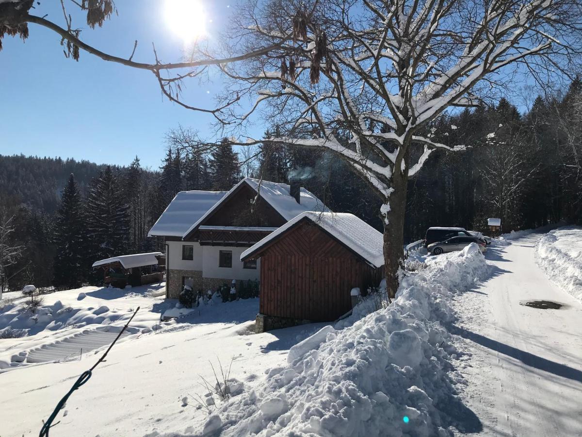 Na Planyrce Hotel Paseky nad Jizerou Kültér fotó