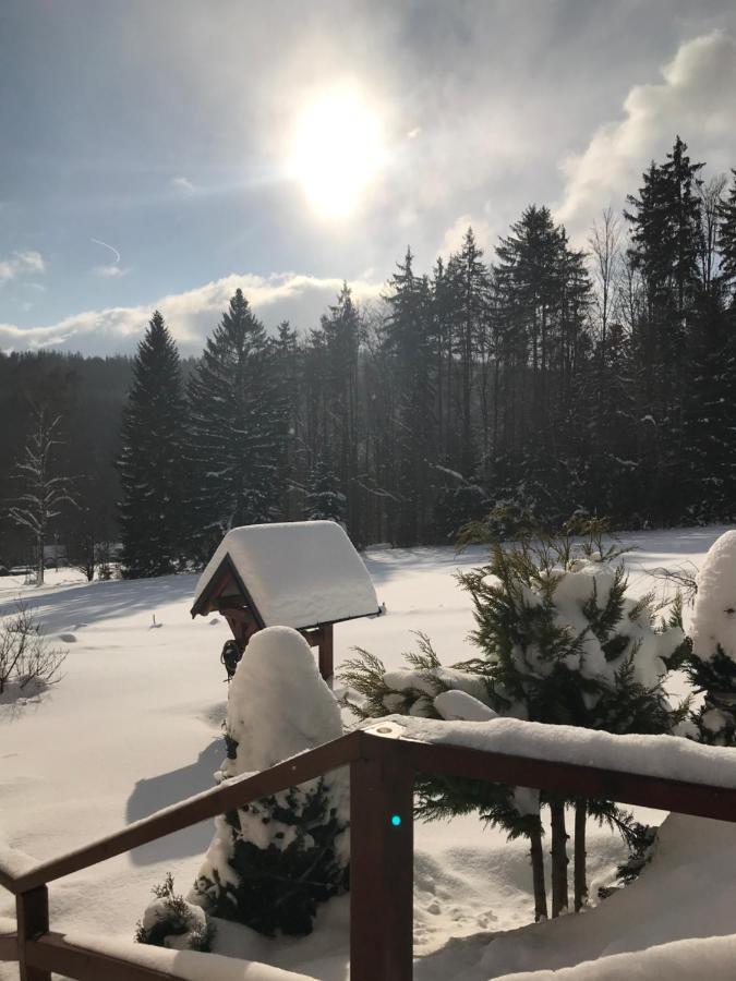 Na Planyrce Hotel Paseky nad Jizerou Kültér fotó