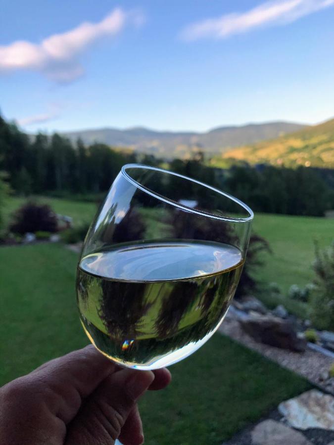 Na Planyrce Hotel Paseky nad Jizerou Kültér fotó