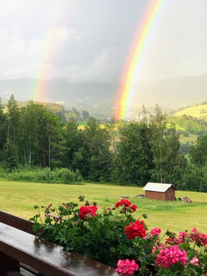 Na Planyrce Hotel Paseky nad Jizerou Kültér fotó